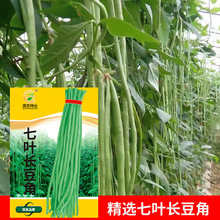 lˈ@߲˷N~L10̨ԺӷNӲ  Sֱl