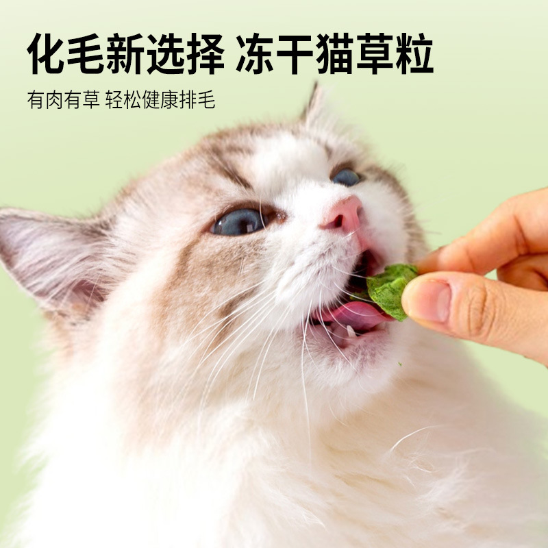 Granos de hierba para gatos Bolas de pelo liofilizadas Galletas de menta para gatos Dientes molares Limpiadores Aperitivos para gatos Aperitivos para mascotas al por mayor