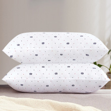 �d�z¶��о �W��������о ���m�� �W���� �؃r�W���� ��z�� ����