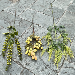 �¿�Gɫ��c�����l  ɭϵ���ɾGɫ���ʾG��Y��·���bٻ�