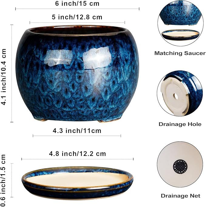 horno azul de cerámica mariposa orquídea verde plantación doméstica gran maceta decoración para el hogar con bandeja Amazon