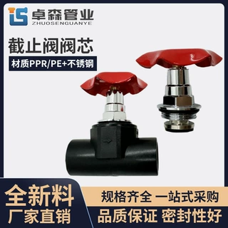 PE/PPR4分6分截止阀阀芯精品不锈钢阀芯升降芯精品水开关配件