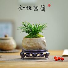 ���X���Ѳݽ��X���S������Ҳ�̨�ķ��҃���ꎺ��B����Gֲ���Ի�