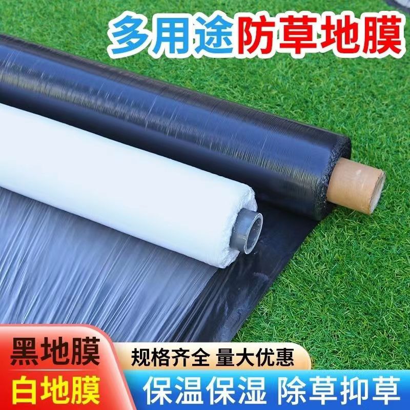 Vegetales agrícolas Huerto negro película escarda espesado película de plástico fresa invernadero plantación anti-hierba película hidratante aislamiento