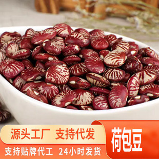 Դ�^һ�����l�ɰ��� ���I�� ��Ԫ�� ���R���ʵ۶����F�� ����s�Z