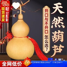 �S����Ȼ���J�������J�ļ����_���T���T�͏d���P�[����̖