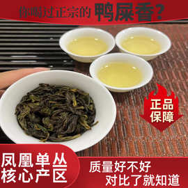 凤凰单丛乌龙茶鸭屎香单枞茶叶礼盒装乌岽香批发广东乌龙清香老枞