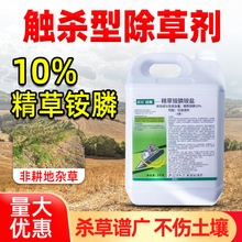 实佳战施 10%精草铵膦铵盐 草铵安胺膦除草剂烂根死根除杂草农药