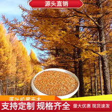 ���~�ɷN���ɿƻ�ɽ���ֵ���Ҫ��N���~��ľ�N�����~�ɘ�N�Ӱ��]