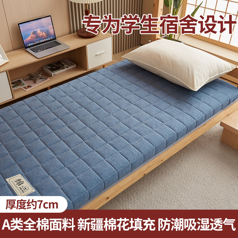 진한 파란색 - 두께 약 7cm [A급 신장면]