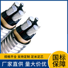 WDZC-YJLHY WDZB-YJLHY236/10KV �͟��o�u��ȼ�Љ��X�Ͻ���|��