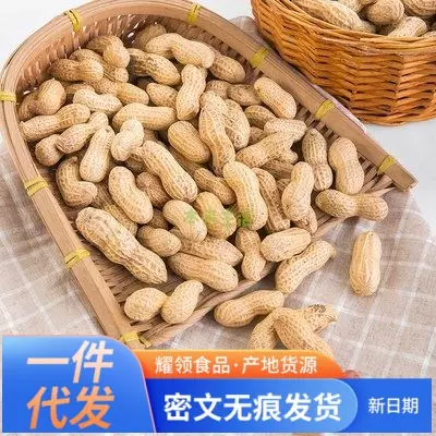 代发农家铁锅炒花生500g原味熟花生现炒现卖带壳熟花生坚果