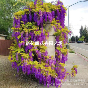 ���ٻ����٘��绨����ͥ�L�������}��������ֲ��ͥԺ�ļ������ͺ�