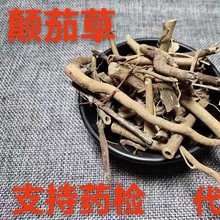中药材 颠茄草别名 美女草 别拉多娜草 颠茄 支持药检 代磨粉