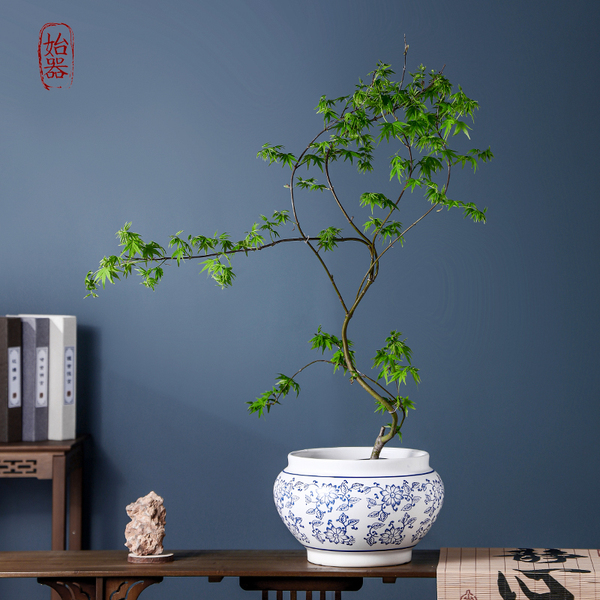 Blue and white ceramic flowerpot for home use for living room