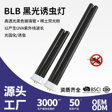 �S�ҹ���FPL BLB���⾀�ڟ��� UVA���g���@�Bֳ�T�x����̨������