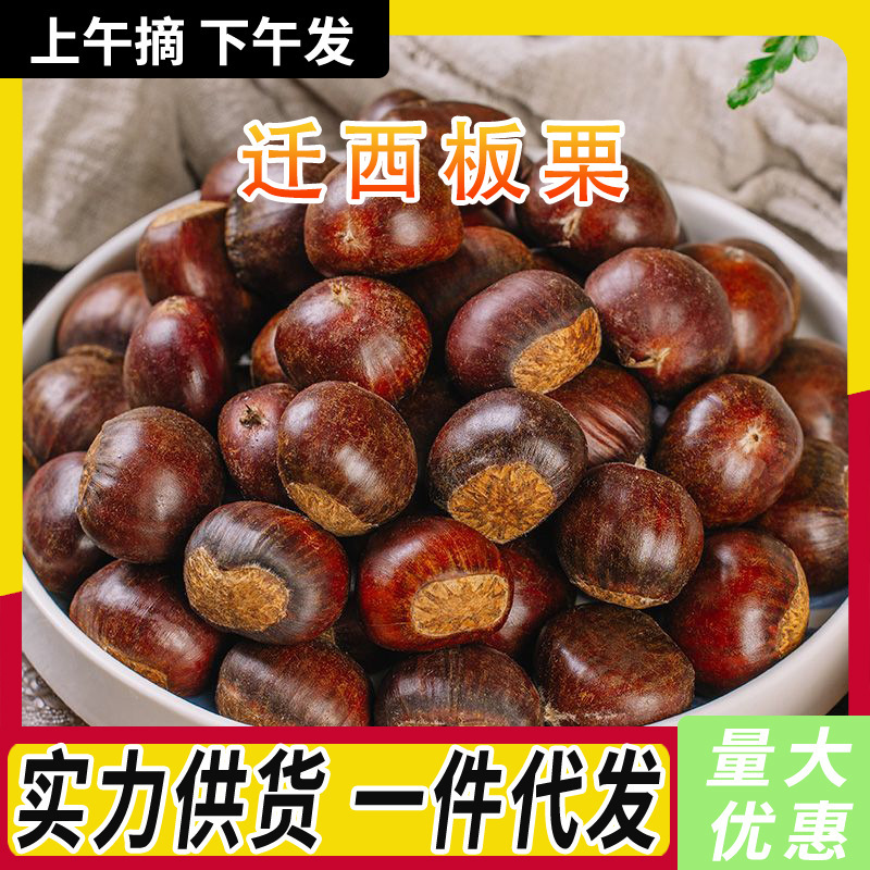 Qianxi Chestnut Zaofeng 3113 Seasonal Fresh Picked Raw Chestnuts Hebei Specialty Jingdong Chestnuts Whole Box Wholesale