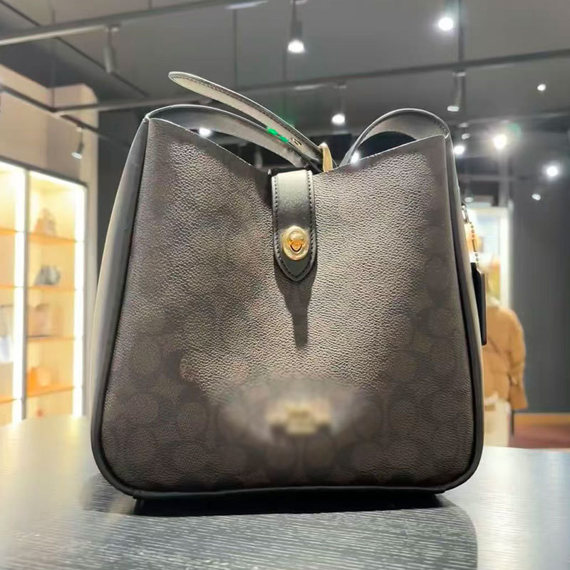 Coach Hadley Hobo Bag Single Shoulder Tote Bag Bucket Bag Commuter Women's Bag Urban Simple Style Coach Hadley Hobo Bag Single Shoulder Tote Bag Bucket Bag Commuter Women's Bag Urban Simple Style