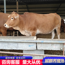 �����Sţ��ţ��ţ���������u�� �����SţС��ţţ�كr��