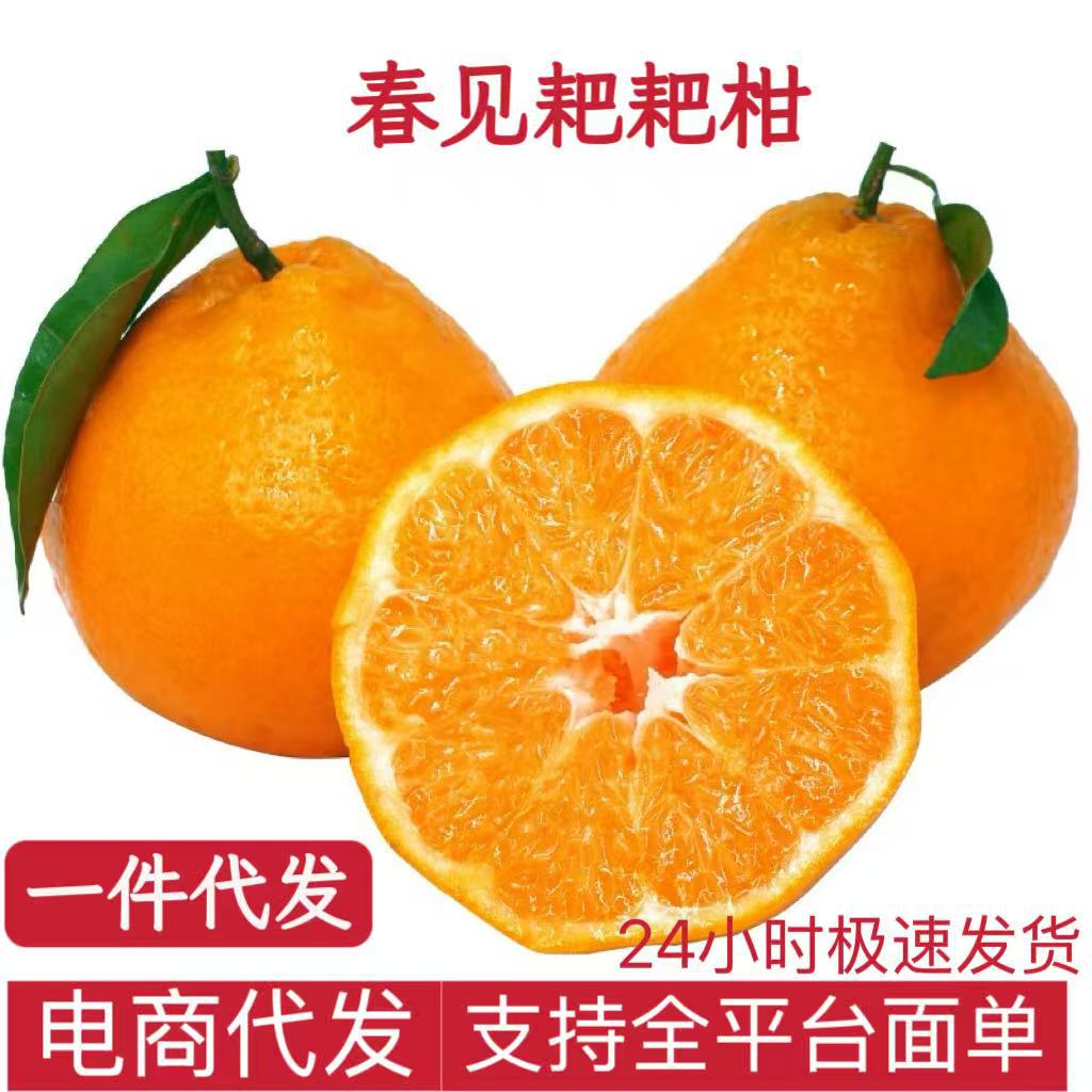 四川春见耙耙柑一件代发耙耙柑水果粑粑柑杷杷柑橘子整箱丑柑桔包