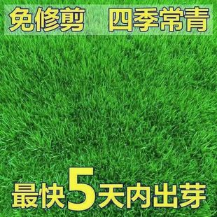 �ͺ��ͺ���ƺ�N�ӹ���������̸���é�������ļ������޼��G������