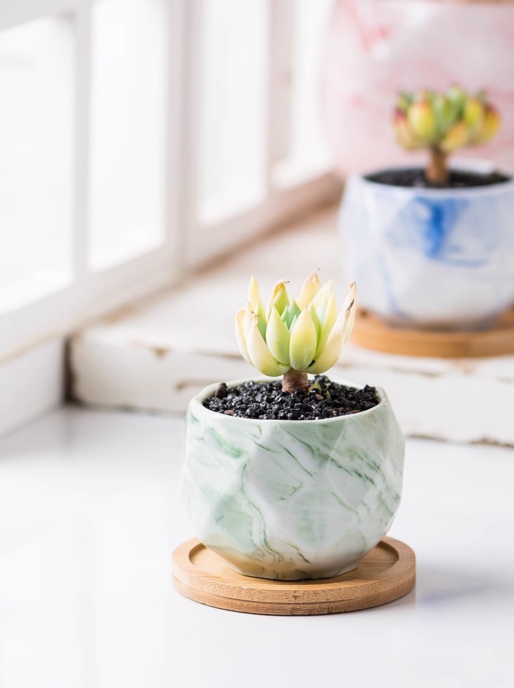 64933fa9-9bed-4acb-a1b0-359e25096cbb.jpe