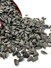 ��������С��������Ϳ������P�W�^�Bʳ�}����ʳ�B�Z���Z5����]