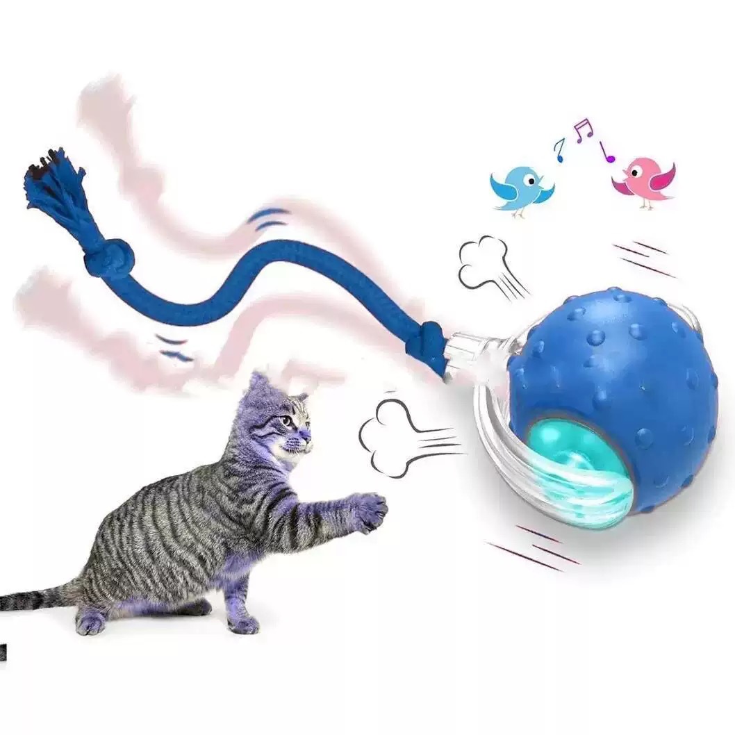 Perros y gatos, juguetes para gatos