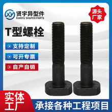 T型螺栓氧化发黑压板全螺纹高强度碳钢T型螺杆方头8.8级螺丝