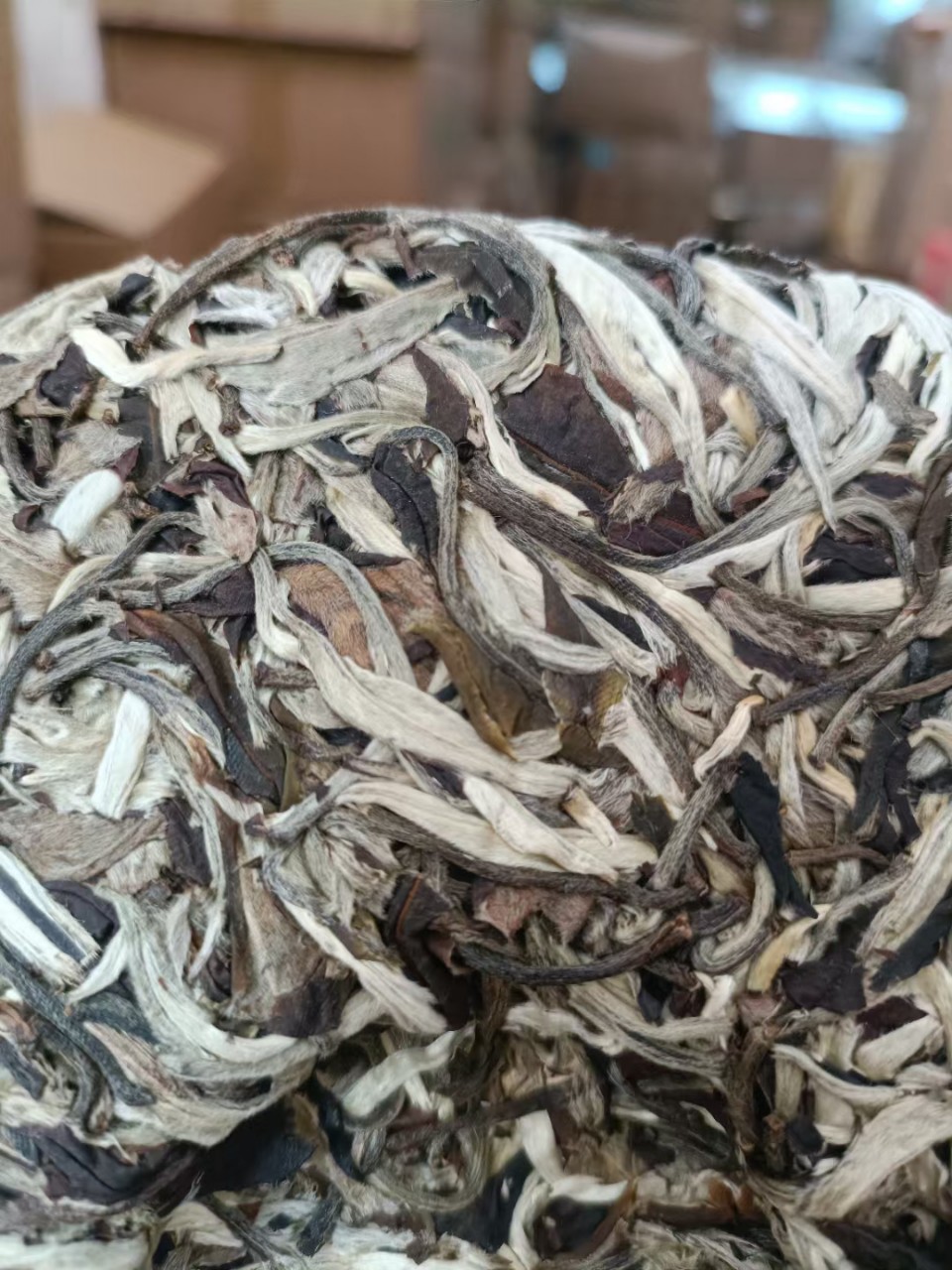 云南白茶月光白白牡丹高山荒野老茶饼陈年花毫香357克克批