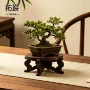 仿古桌上桌面植物花架
