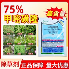 ��� �G�oӰ 75%���׻�¡�Ǹ����s���rș�Ƅ������V�V��Ч���݄�