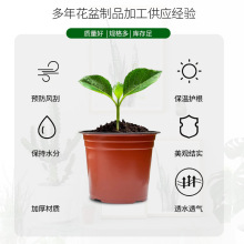 ?pɫl͸G}⻨ϻӺApɫppϻ