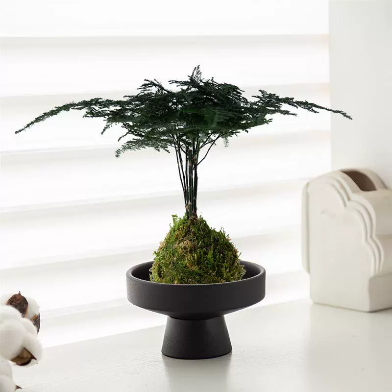 Моховая японская капуста, нефритовый моховый шар, комнатное растение в горшке для офиса, журнального столика, кабинета, гостиной, настольное растение в стиле дзен, гидропонное зеленое растение