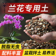 �m���������I�B��ֲ�ϷN�����m�����m��������ֲ���ɘ�Ƥ�w������