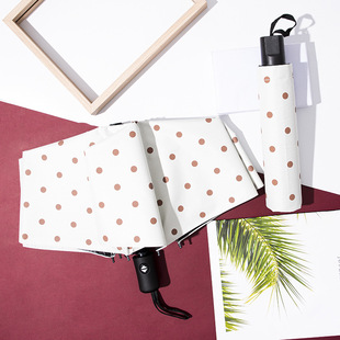 ?㲨cz⾀̫ꖂꖂۯBnС