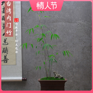 ���T���̨���F������������ͥԺ�҃ȸ����ļ����ྫ�����ӾGֲ