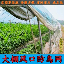 穿草莓葡萄天沟通风口边款定型大棚围网鸟网两侧拦防鸟网网深度棚