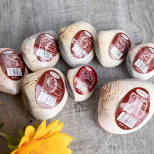 �P���p�S�ո�����ؐ�������������͏S��