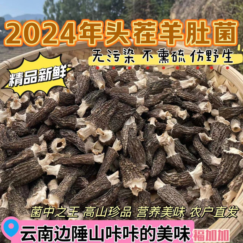 2024年云南头茬羊肚菌干货仿野生剪炳羊肚菇营养菌菇新鲜源头