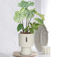 �ش�̖�Gֲ����ֱͲ�t���҃Ⱥ��s���W�F������ʽ�_�R�l�y�����մ�