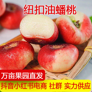 �a��ֱ�l����~������Ү������r�����ЋDˮ������С�����