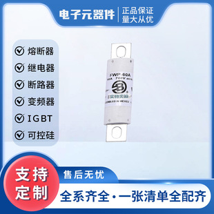 Brand New Fuse Fwp-60A Fwp-100A, Complete Model, Large Standard Package, Favorable Price