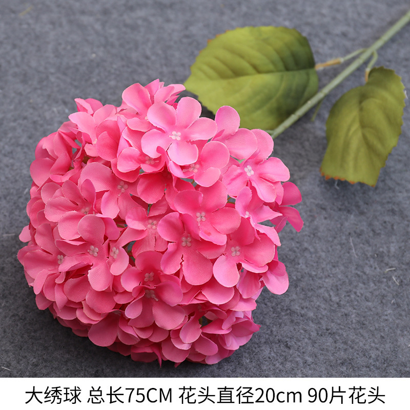 큰 수국 로즈 레드