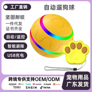 �羳늄��b�ع�������ԄӶ�������������������˽␞�������