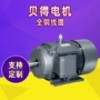 贝得西门子三相系列电动机