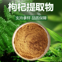 枸杞提取物水溶性量大从优原料批发现货枸杞多糖多种规格枸杞粉
