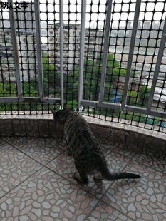 9Yw Balcony Protective Net Courtyard Fence Encrypted Mesh to Prevent Cats from Falling, Anti-Theft Window Net Pad Breeding Net Partition