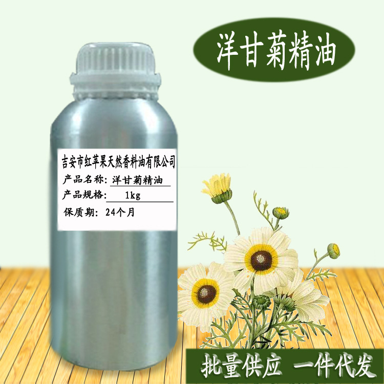 洋甘菊精油 Chamomile oil植物提取 化妆品日化原料厂家批发