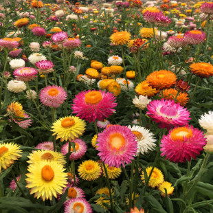 �����շN��ͥԺ�����̨�л��ļ����N�_���D�ոɻ������Ի��N��